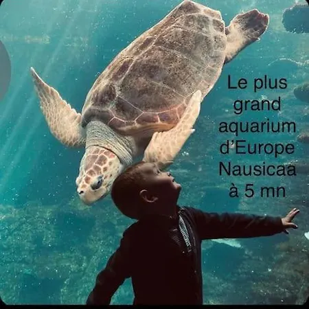 Rte Du Portel *